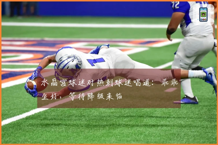 水晶宫球迷对热刺球迷唱道：乖乖坐好，等待降级来临